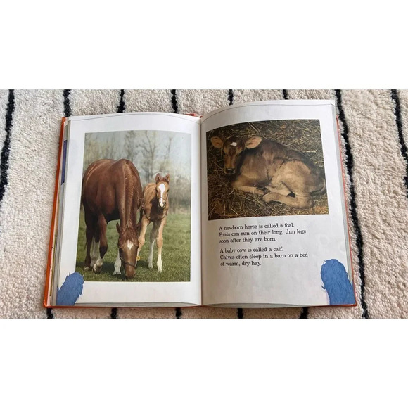 Grover's Book Of Cute Little Baby Animals by B. G. Ford Hardcover Vintage Book - Picture 4 of 10
